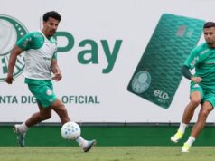 Palmeiras pode ter reforço para enfrentar o Vitória